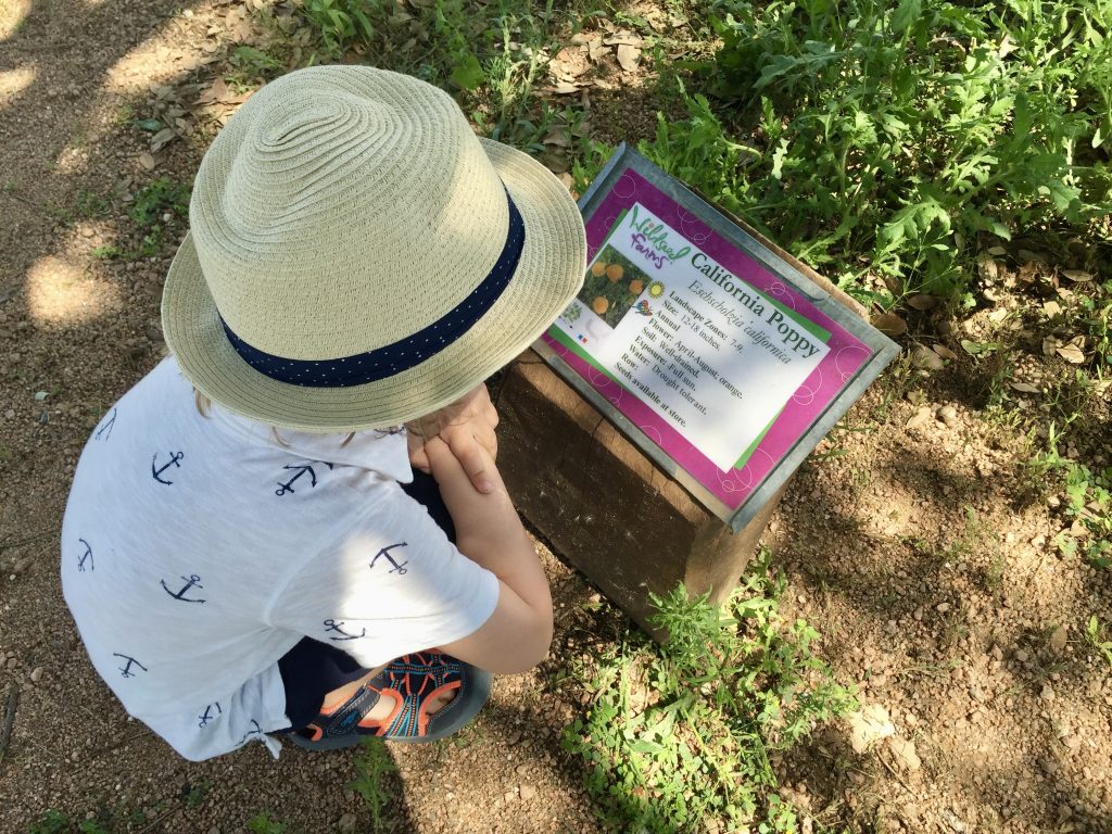 Ein Kind liest eine Infotafel